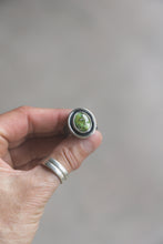 Load image into Gallery viewer, Sonoran Gold Turquoise Shadow Box Ring | Size 8.5