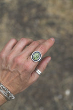 Load image into Gallery viewer, Sonoran Gold Turquoise Shadow Box Ring | Size 8.5