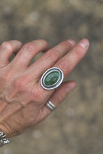 Load image into Gallery viewer, Bamboo Mountain Turquoise Shadow Box Ring | Size 9