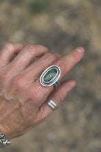 Load image into Gallery viewer, Sonoran Gold Turquoise Shadow Box Ring | Size 8.5