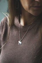 Load image into Gallery viewer, Prairie Rider Necklace