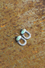 Load image into Gallery viewer, Kickin Up Dust Earrings
