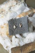 Load image into Gallery viewer, 14K gold studs | Pair 1