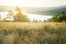 Load image into Gallery viewer, Wild Art Retreat All Inclusive | 5 Days of Art + Adventure | May 18th - 22nd