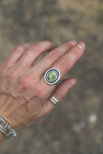 Load image into Gallery viewer, Sonoran Gold Turquoise Shadow Box Ring | Size 8.5
