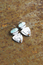 Load image into Gallery viewer, High Desert Fire Earrings
