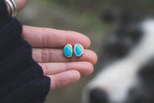 Load image into Gallery viewer, Blue Kingman Turquoise Studs #2
